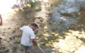 Με πρωτοβουλία του Τοπικού Συλλόγου καθαρίστηκε το ποτάμι στο ΜΟΝΑΣΤΗΡΑΚΙ Βόνιτσας -ΦΩΤΟ - Φωτογραφία 12