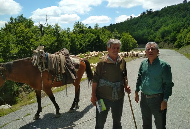 Οι επισκέψεις του υπ.Βουλευτη ΠΕ Γρεβενών με το ΚΙΝ.ΑΛ Βασίλη Γκαλογιάννη την Κυριακή 30-6 (εικόνες) - Φωτογραφία 4