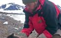 Το επικό ταξίδι μιας αρκτικής αλεπούς: Διένυσε πάνω από 3.500 χλμ σε... 76 μέρες - Φωτογραφία 1