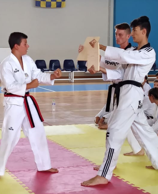 Απόλυτα επιτυχημένες οι προαγωγικές εξετάσεις ζωνών Taekwondo στον ΚΕΝΤΑΥΡΟ ΑΣΤΑΚΟΥ -ΦΩΤΟ - Φωτογραφία 11