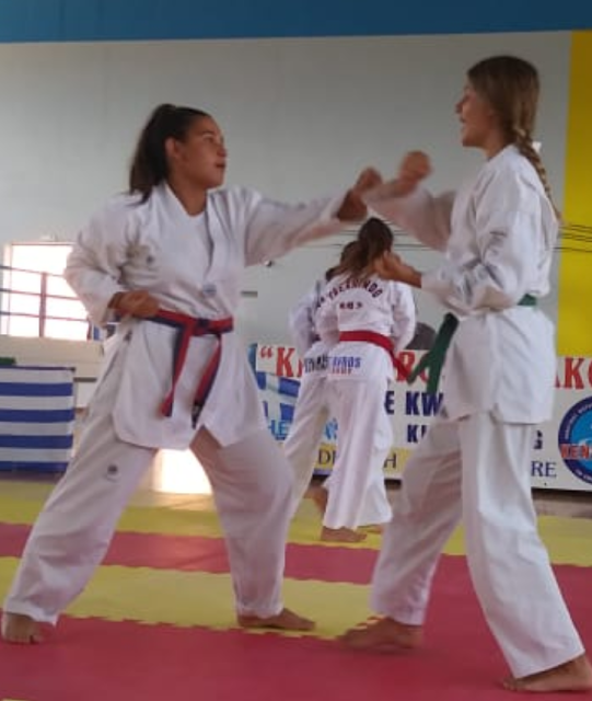 Απόλυτα επιτυχημένες οι προαγωγικές εξετάσεις ζωνών Taekwondo στον ΚΕΝΤΑΥΡΟ ΑΣΤΑΚΟΥ -ΦΩΤΟ - Φωτογραφία 14