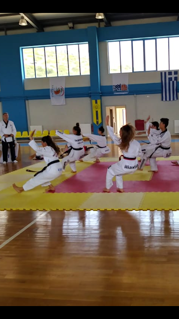 Απόλυτα επιτυχημένες οι προαγωγικές εξετάσεις ζωνών Taekwondo στον ΚΕΝΤΑΥΡΟ ΑΣΤΑΚΟΥ -ΦΩΤΟ - Φωτογραφία 28