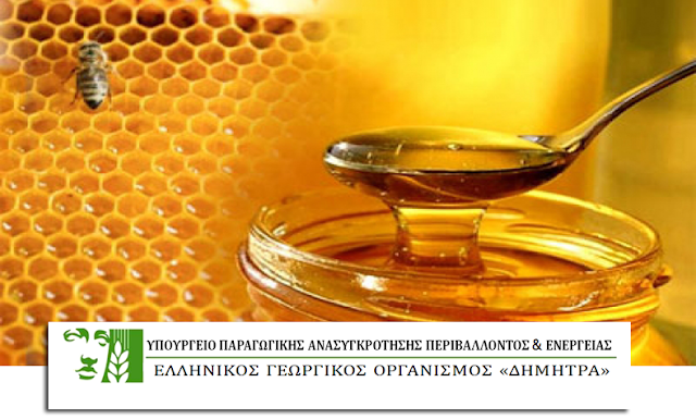 Σεμινάριο Μελισσοκομίας στο ΜΕΣΟΛΟΓΓΙ - Φωτογραφία 1