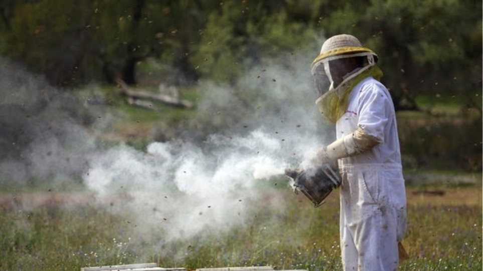 Σε κρίσιμη κατάσταση ένας 70χρονος που δέχτηκε επίθεση από χιλιάδες μέλισσες - Φωτογραφία 1