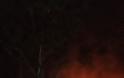 Φωτιά χτες βράδυ στην Αλυζία (στον δρόμο Μύτικα - Αστακός) - Φωτογραφία 9
