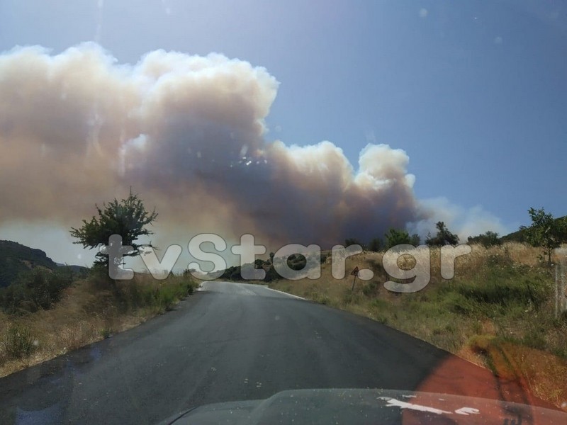 Μεγάλη φωτιά στην Εύβοια. Εκκενώθηκε προληπτικά χωριό (φωτογραφίες) - Φωτογραφία 1