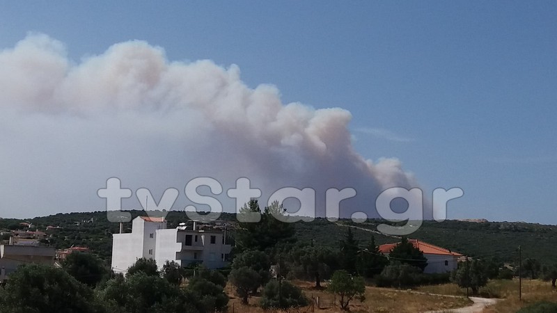 Μεγάλη φωτιά στην Εύβοια. Εκκενώθηκε προληπτικά χωριό (φωτογραφίες) - Φωτογραφία 2