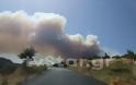 Μεγάλη φωτιά στην Εύβοια. Εκκενώθηκε προληπτικά χωριό (φωτογραφίες)