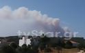 Μεγάλη φωτιά στην Εύβοια. Εκκενώθηκε προληπτικά χωριό (φωτογραφίες) - Φωτογραφία 2