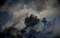 Μαίνεται η φωτιά στην Εύβοια: Ξέσπασε και τέταρτη εστία - Αναζητείται ο εμπρηστής - Φωτογραφία 2