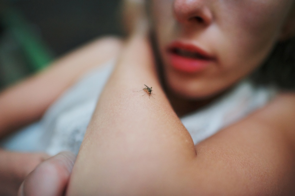 Κουνούπια, ο ύπουλος εχθρός - Φωτογραφία 1