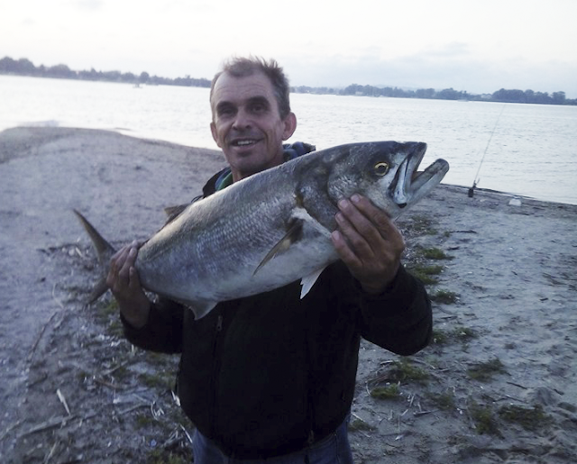 Έπιασε ψάρι (Γοφάρι) 10 κιλών στο ΑΚΤΙΟ Βόνιτσας -ΦΩΤΟ - Φωτογραφία 1