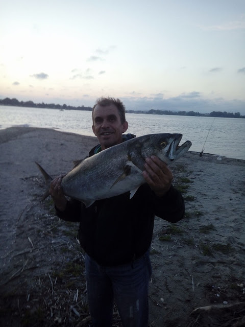 Έπιασε ψάρι (Γοφάρι) 10 κιλών στο ΑΚΤΙΟ Βόνιτσας -ΦΩΤΟ - Φωτογραφία 3