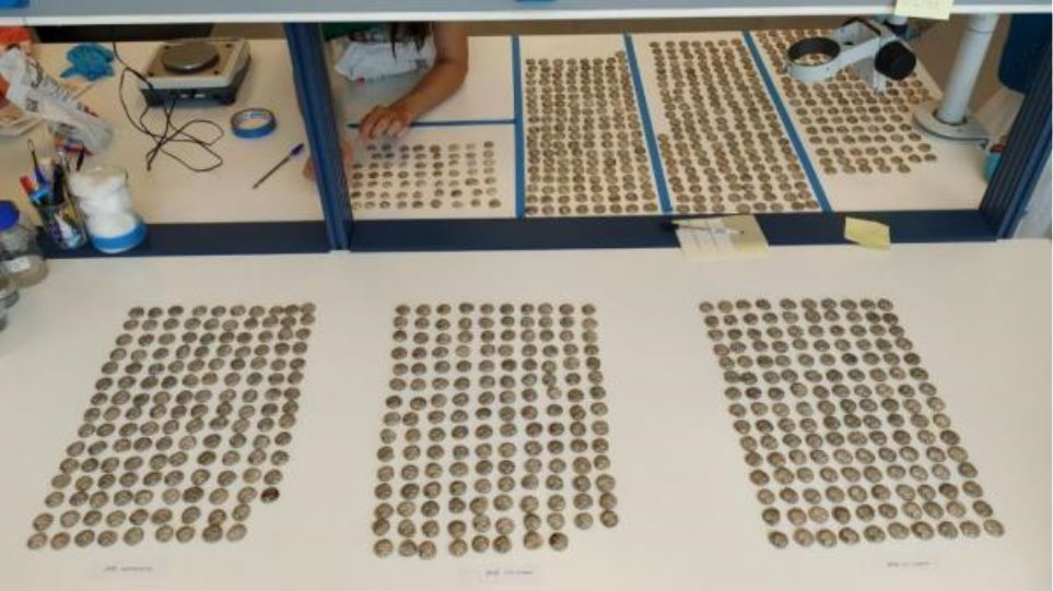 ΑΑΔΕ: Αρχαία ελληνικά νομίσματα από την Τουρκία στη Γερμανία, με... λεωφορείο - Φωτογραφία 1