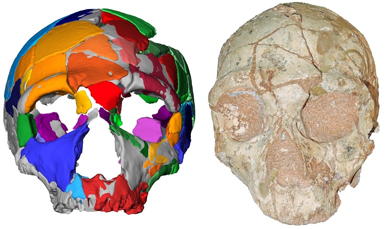 Σπουδαία ανακάλυψη: Το αρχαιότερο δείγμα Homo Sapiens είναι ελληνικό! - Φωτογραφία 3