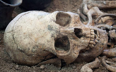 Κρανίο 210.000 ετών από την Ελλάδα το αρχαιότερο δείγμα Homo sapiens σε όλη την Ευρασία - Φωτογραφία 1