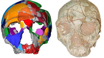 Κρανίο 210.000 ετών από την Ελλάδα το αρχαιότερο δείγμα Homo sapiens σε όλη την Ευρασία - Φωτογραφία 2