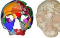 Κρανίο 210.000 ετών από την Ελλάδα το αρχαιότερο δείγμα Homo sapiens σε όλη την Ευρασία - Φωτογραφία 2