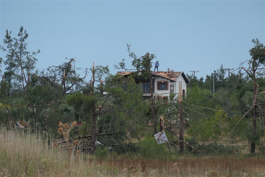 Χαλκιδική: Οι εικόνες - σοκ της καταστροφής - Φωτογραφία 17
