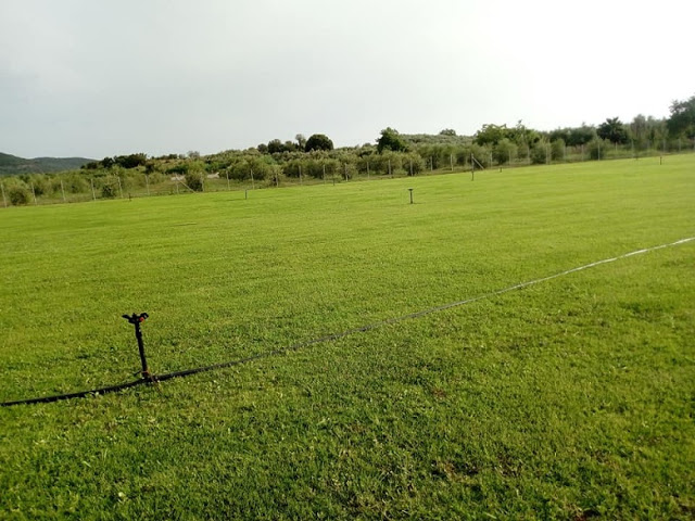 Παλαίμαχος του Άρη Αιτωλικού μετέτρεψε χωράφι σε προπονητικό γήπεδο για την αγαπημένη του ομάδα (φωτο) - Φωτογραφία 7