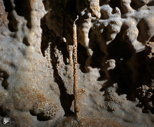 Τρύπα Περδίκη, Σπήλαιο, Γρεβενά (εικόνες) - Φωτογραφία 13