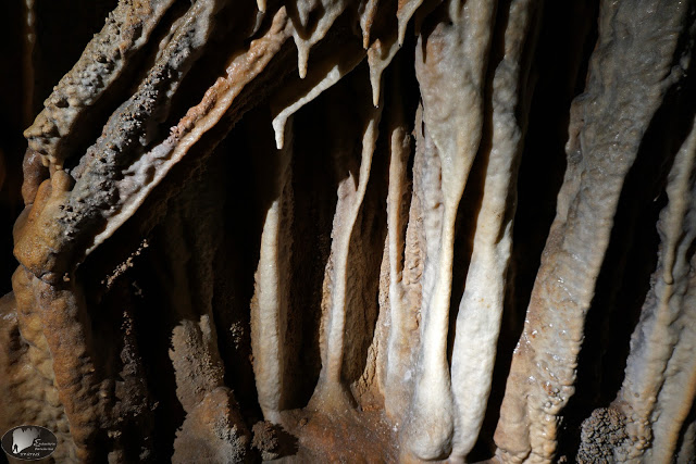 Τρύπα Περδίκη, Σπήλαιο, Γρεβενά (εικόνες) - Φωτογραφία 14