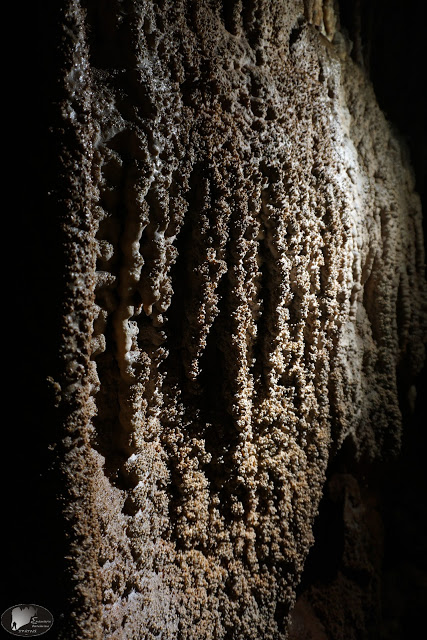 Τρύπα Περδίκη, Σπήλαιο, Γρεβενά (εικόνες) - Φωτογραφία 16