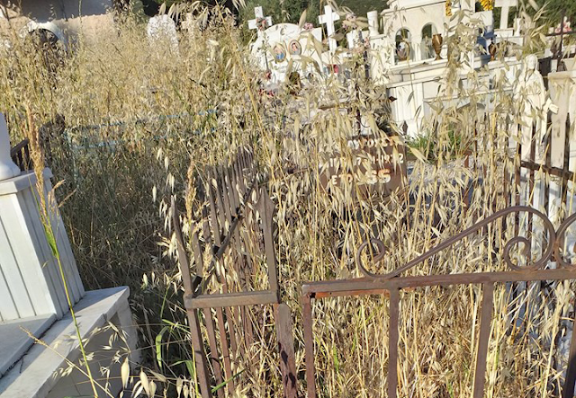 Τα χόρτα έπνιξαν το παλιό κοιμητήριο στο ΜΟΝΑΣΤΗΡΑΚΙ Βόνιτσας (ΔΕΙΤΕ ΦΩΤΟ) - Φωτογραφία 4