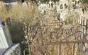 Τα χόρτα έπνιξαν το παλιό κοιμητήριο στο ΜΟΝΑΣΤΗΡΑΚΙ Βόνιτσας (ΔΕΙΤΕ ΦΩΤΟ) - Φωτογραφία 4