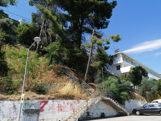 Ακαθάριστο παραμένει το Δασύλλιο με τα πεύκα στο Χοβολιό Αστακού -ΦΩΤΟ - Φωτογραφία 14
