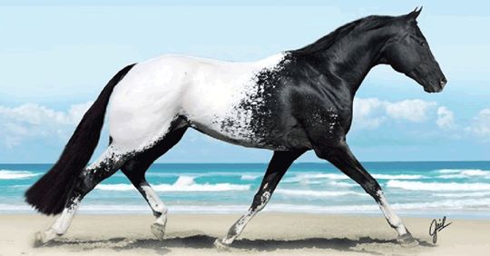10 σπάνια και όμορφα άλογα που δεν ξανά έχετε δει ποτέ - Φωτογραφία 1
