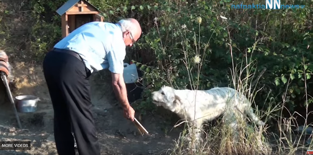 Συγκίνησε το Πανελλήνιο ο σκύλος που μένει 18 μήνες εκεί που σκοτώθηκε το αφεντικό του (Video) - Φωτογραφία 1