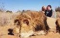 Παγκόσμια οργή για το ζευγάρι που φωτογραφίζεται να φιλιέται μαζί με το λιοντάρι που σκότωσε σε σαφάρι