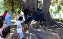 Παιδάκι «σφήνωσε» σε δέντρο - Φωτογραφία 2