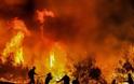 Φωτιά στον Κιθαιρώνα: Δύσκολη νύχτα για τους πυροσβέστες - Η φωτιά μαίνεται σε δύσβατο σημείο - Φωτογραφία 1