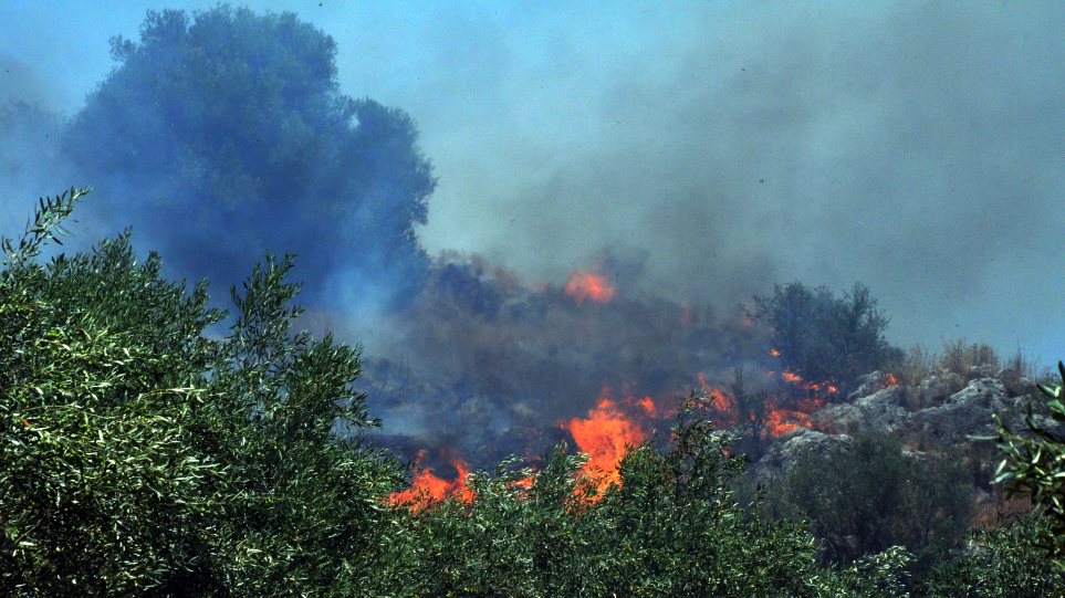 Πυρκαγιά καίει δασική έκταση στην Ξάνθη - Φωτογραφία 1
