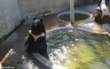Αξιαγάπητη αρκούδα δροσίζεται σαν άνθρωπος στην πισίνα