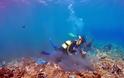 Πλαστικά «κοράλια» στην Άνδρο: Παραμένουν στο βυθό τα σκουπίδια από την παράνομη χωματερή