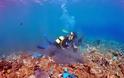 Πλαστικά «κοράλια» στην Άνδρο: Παραμένουν στο βυθό τα σκουπίδια από την παράνομη χωματερή - Φωτογραφία 2