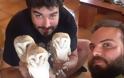 Μυτιλήνη: Επιχείρηση διάσωσης για έξι μικρές κουκουβάγιες που είχαν εγκλωβιστεί σε πατάρι - Φωτογραφία 1