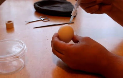 Ρώσος βάζει το σπέρμα του σε αβγό – Το αποτέλεσμα ανατριχιάζει (ΒΙΝΤΕΟ)! - Φωτογραφία 1