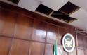 Φίδι που έπεσε από το ταβάνι «έκοψε τη χολή» σε βουλευτές περιφερειακού κοινοβουλίου - Φωτογραφία 2