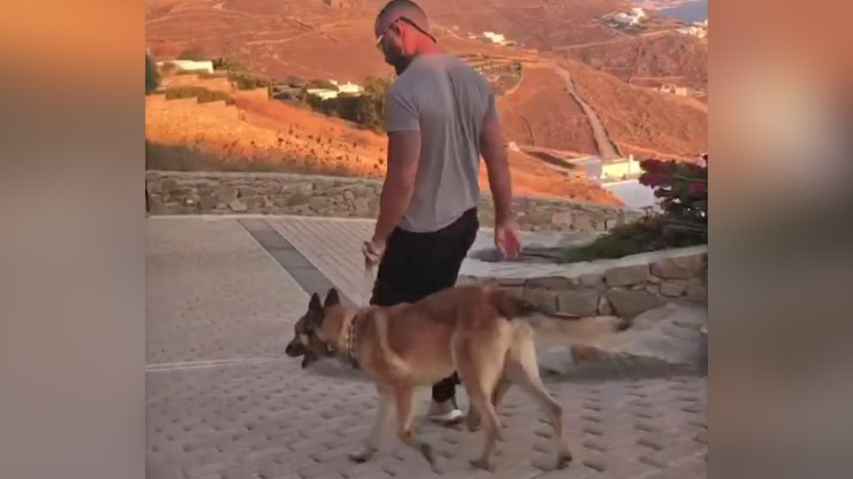 Μύκονος: Φέρνουν σκύλους - bodyguards για να προσέχουν τις βίλες - Φωτογραφία 1