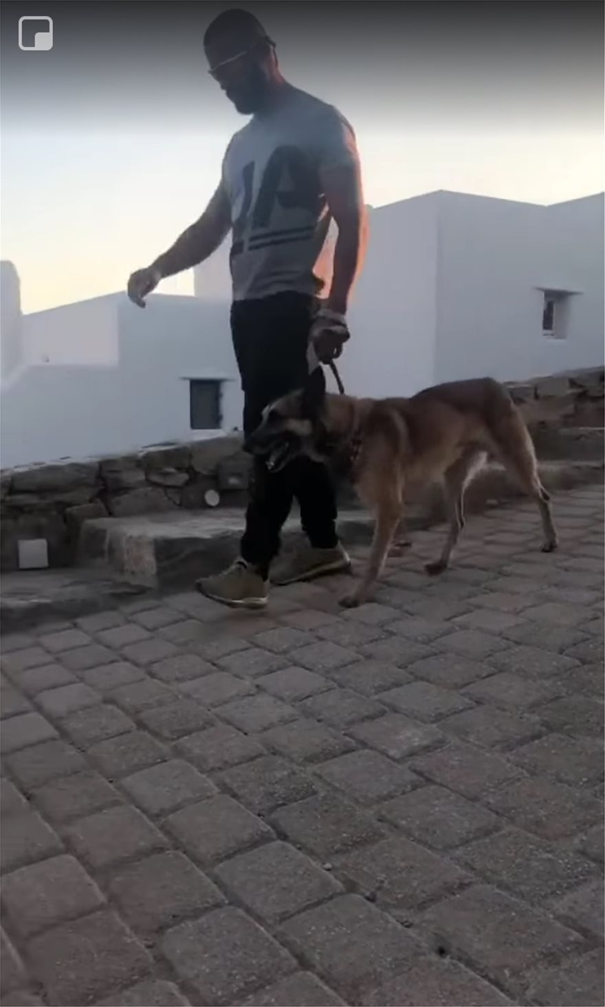 Μύκονος: Φέρνουν σκύλους - bodyguards για να προσέχουν τις βίλες - Φωτογραφία 3