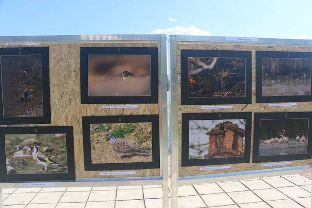 Ο Χρήστος Δημάδης στην Έκθεση φωτογραφίας άγριας Φύσης στην Καστοριά (εικόνες) - Φωτογραφία 10