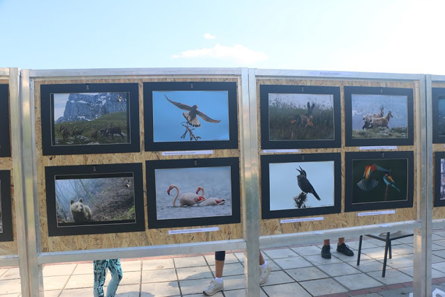 Ο Χρήστος Δημάδης στην Έκθεση φωτογραφίας άγριας Φύσης στην Καστοριά (εικόνες) - Φωτογραφία 18