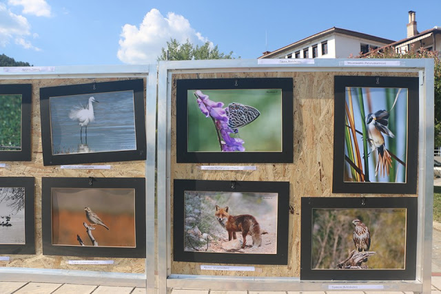 Ο Χρήστος Δημάδης στην Έκθεση φωτογραφίας άγριας Φύσης στην Καστοριά (εικόνες) - Φωτογραφία 22