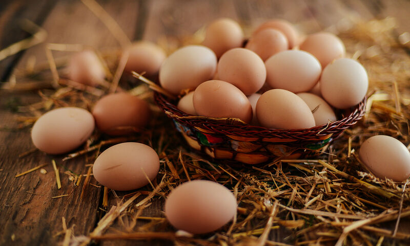 Αυγά: Θερμίδες και γιατί πρέπει να τα εντάξετε στην διατροφή σας - Φωτογραφία 1