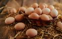 Αυγά: Θερμίδες και γιατί πρέπει να τα εντάξετε στην διατροφή σας