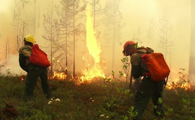 Εκτός ελέγχου οι πυρκαγιές στη Σιβηρία με 16 εκατ. στρέμματα γης στις φλόγες - Φωτογραφία 1